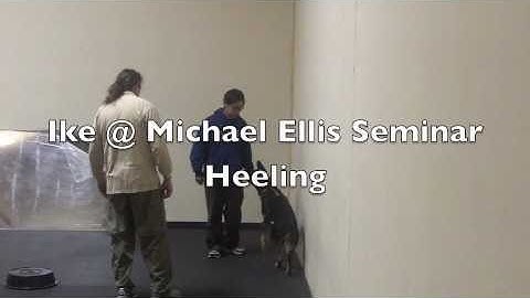 Michael Ellis: Beginning Heeling