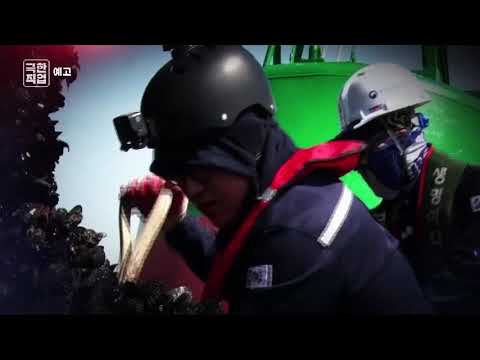 극한직업 - 바닷길을 만드는 사람들-항로표지 작업반#예고편
