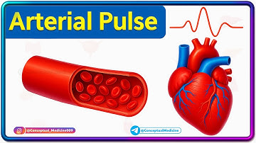 33. Arterial Pulse & Pulse Abnormalities🫀 USMLE Step 2 CK Internal Medicine – Cardiology 🩺🇺🇸