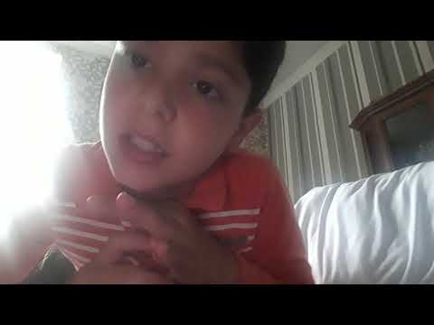 5  საყვარელი  იუთუბერი