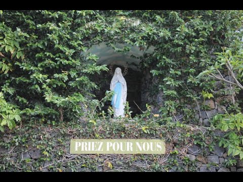 Dame de mon île (Reprise)