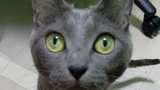 おやつタイムですよー！