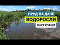 Борьба с водорослями продолжается! Копанка-пруд своими руками