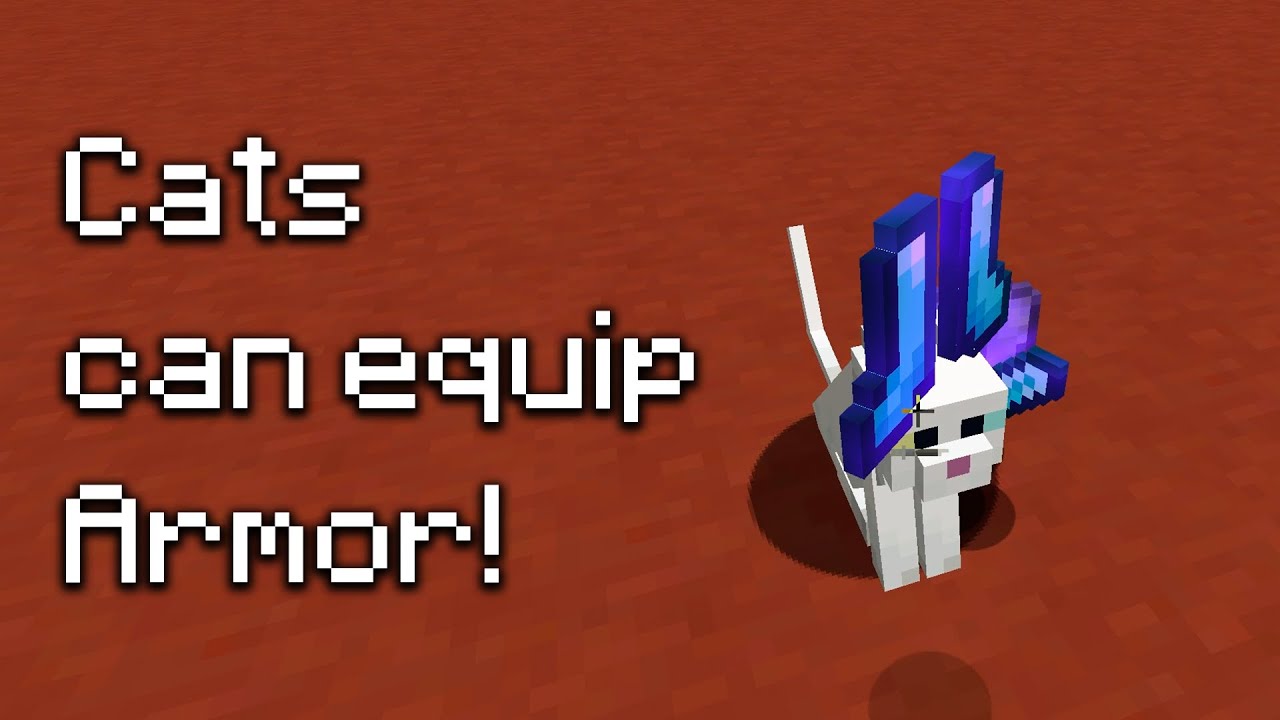 Can Minecraft Cats equip Armor? shorts YouTube
