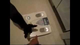 20080609 体重測定
