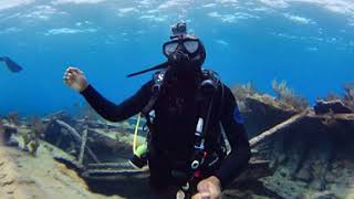 Scuba Diving 2  - Bermuda