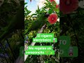 el cigarro electrónico 🪫 #comedia #humor #novios #contenido #memes #funny
