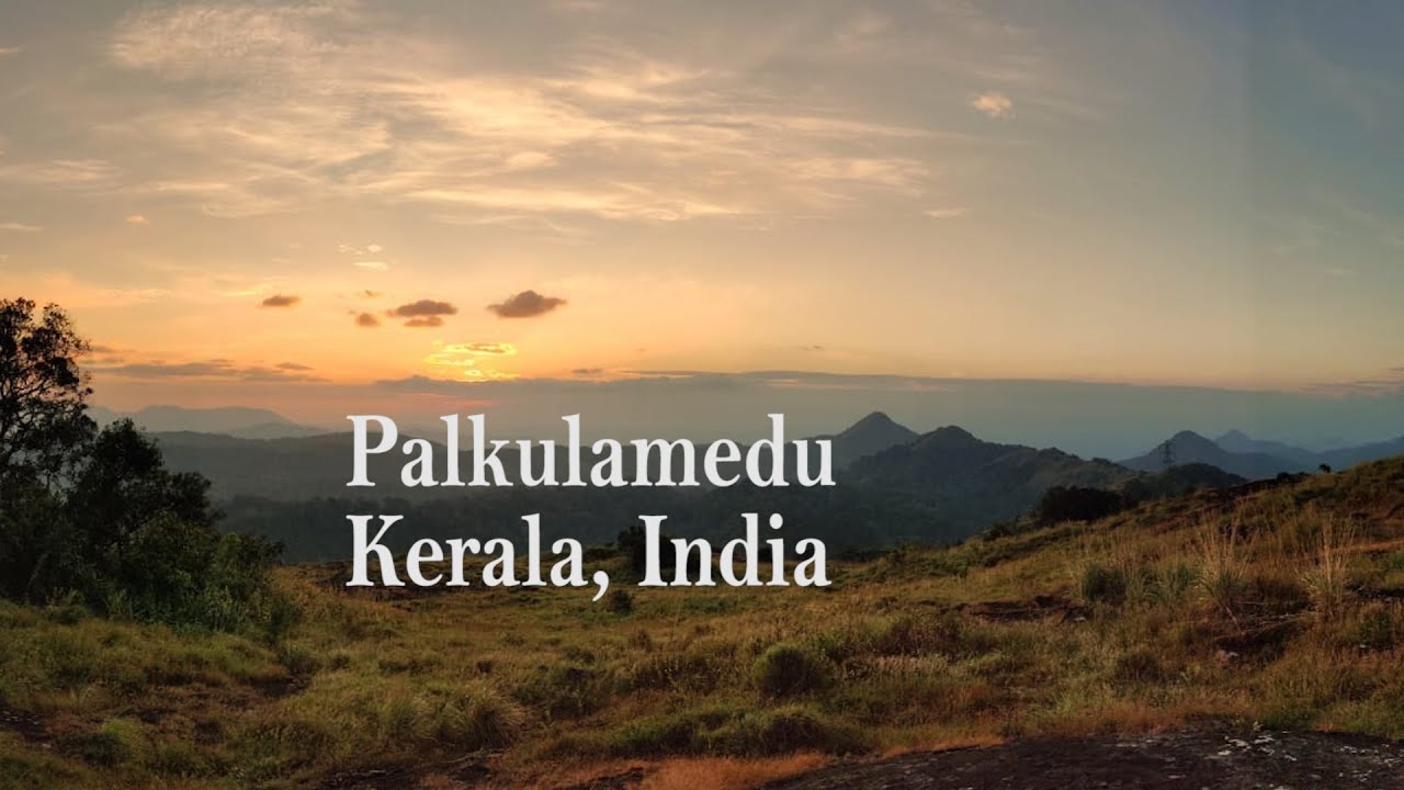 പാല്‍ക്കുളം മേട് || Palkulamedu|| Kerala Tourism || India