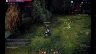 TERA Baraka Berserker Gameplay