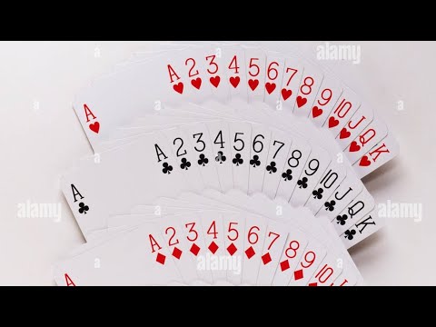 Magic Tricks & Magic Mushrooms 🍄🍀🌧️🌞 @ALINApumpkin @ChrisRamsay52 - YouTube