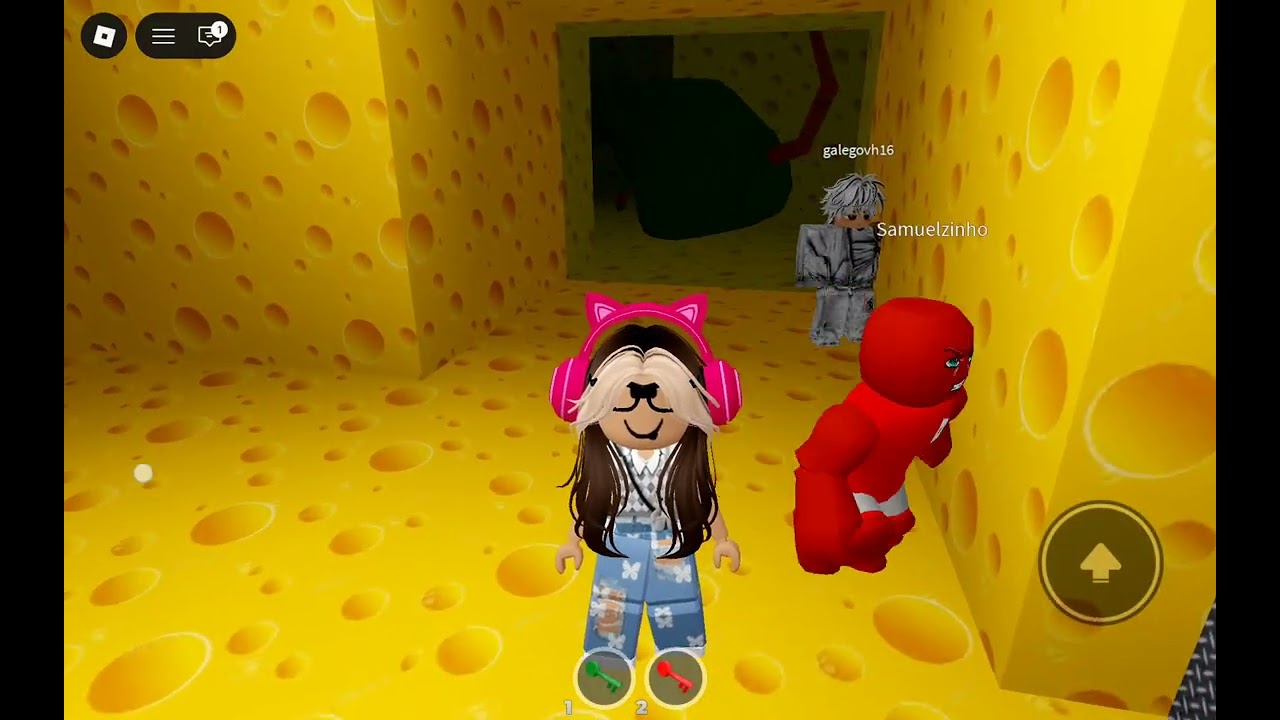    Jogando o jogo do ratão 