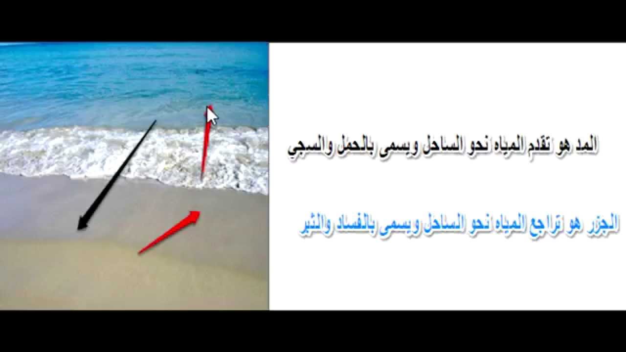 صور saxx