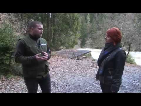 მოსახლეობის უმრავლესობამ ზამთრისთვის საშეშე მერქანი მოიმარაგა