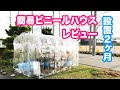 動画で家庭菜園『設置2ヶ月…簡易ビニールハウス（豊作ベジハウス）レビュー』2019.2.19