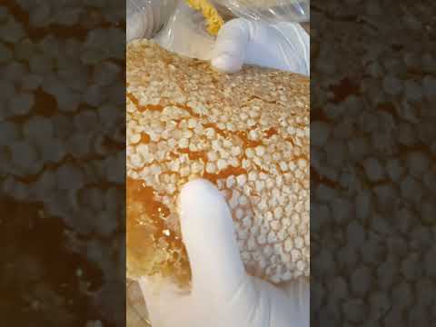 عسل الخلية بشهدو للطلب الاتصال على 05523777292