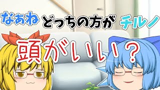 なぁねとチルノどっちの方が頭がいいのか？【ゆっくり茶番】