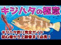 【キジハタ】キジハタ釣り成功への道 初心者でもできるポイントとコツ
