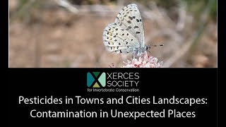 Pesticides in Towns and Cities Landscapes: Contamination in Unexpected Places