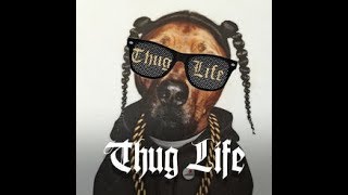 Dünyanın En Iyi Thug Life Derlemesi