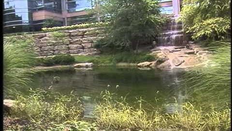 Health Midwest - Cerner