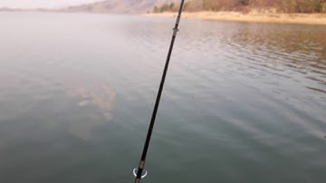 Lên cá trôi hồ Ayun Ha, Gia Lai