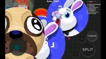 BLOB|Best DOUBLESPLIT-NEW SELLFEED Mode!!