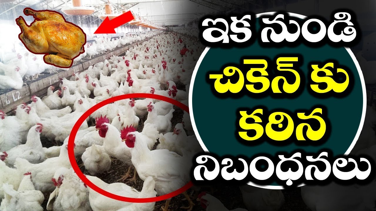 Top 7 Benefits Of Sandalwood Powder Best Beauty And Health Tips In Telugu Vtube Telugu Youtube