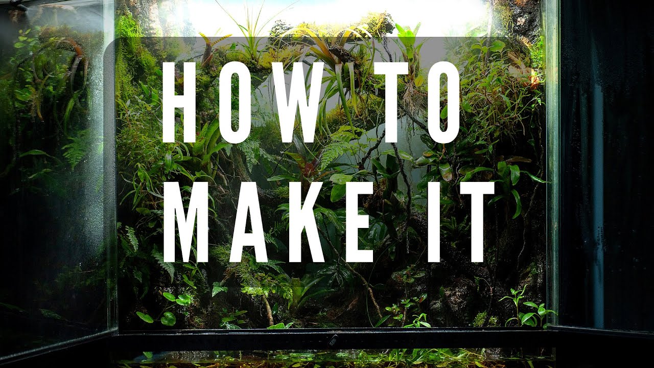 How To Make a Naturalistic Vivarium Background