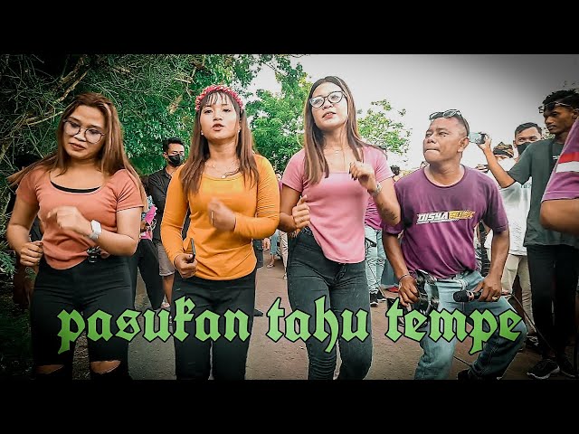 PASUKAN TAHU TEMPE || DISYA MUSIK NYONGKOLAN GERUPUK 👉 lungkak class=