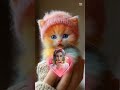 Cute babycat Lucille is singing Imagine by John Lennon.