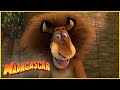 Alex tiene mucha hambre | DreamWorks Madagascar en Español Latino