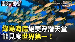 綠島海底藏著絕美浮潛天堂 能見度世界第一美景直逼澳洲大堡礁！ 關鍵時刻 20171002-2 朱學恒 黃創夏 劉燦榮