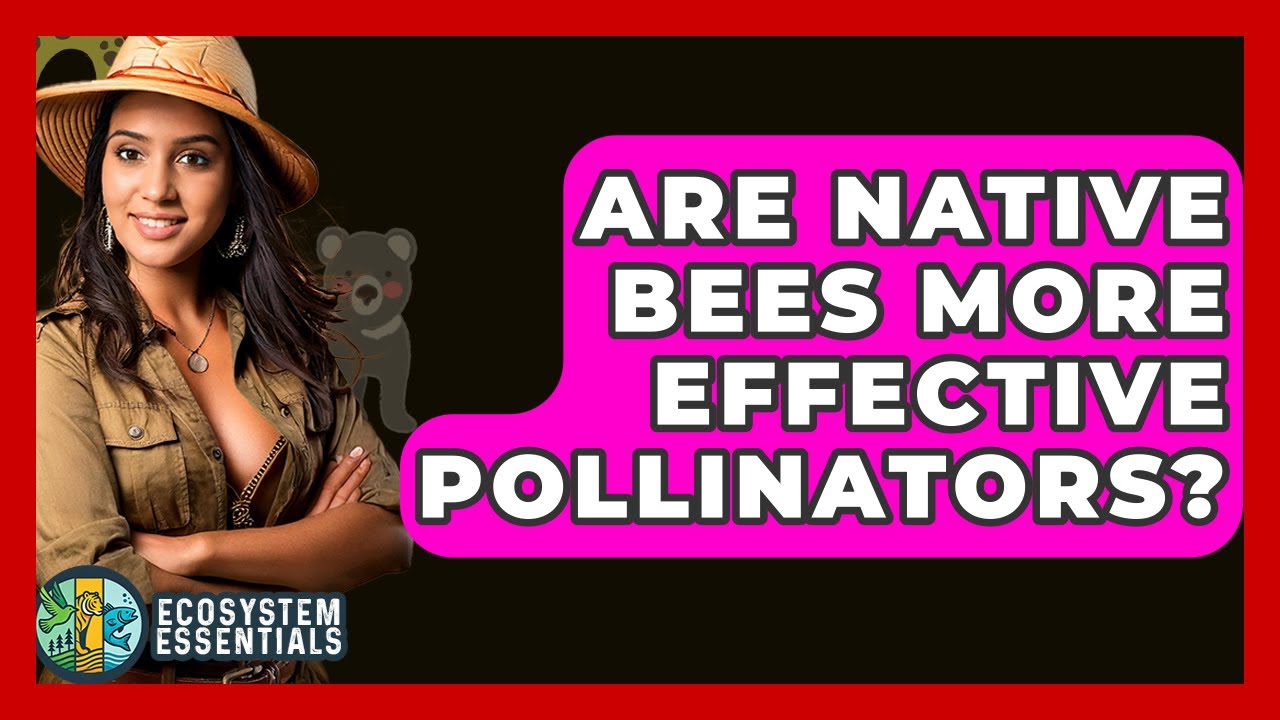 Are Native Bees More Effective Pollinators? - Ecosystem Essentials
