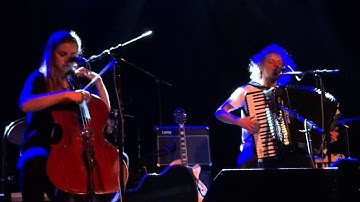 Moddi- 7! (Floriography)