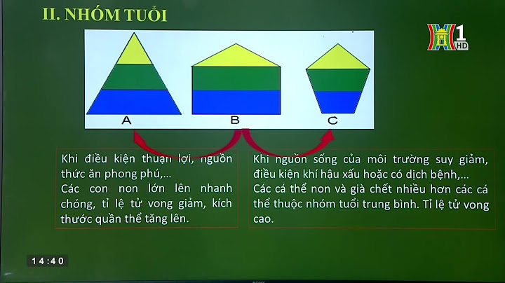 Ví dụ về các đặc trưng cơ bản của quần the