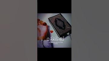 سورة الاخلاص بصوت الشيخ #عامر_السعيدي ❤❤