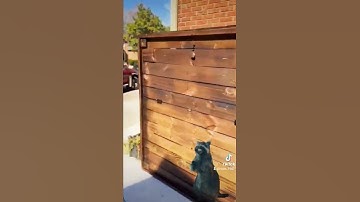 custom trash can storage