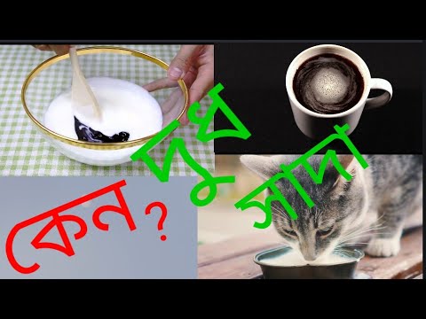 ভিডিও: আমার জলবাহী তরল দুধ সাদা কেন?