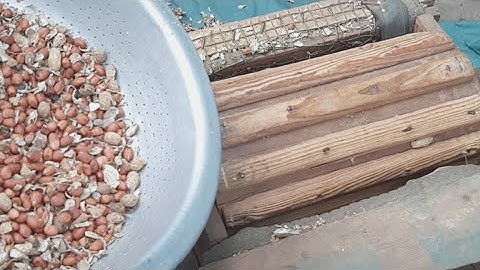 Máy Tách Đậu Lạc Đậu Phộng Đơn Giản Hiệu Quả @TÒNG VĨ TV