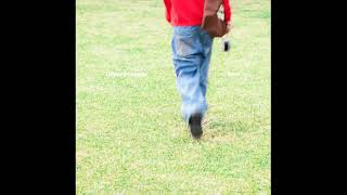 pH-1 - Different Summer (Band Ver.)