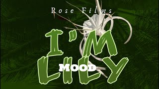 I’m Lily - Mood -Trap Music - 2024 @Rosemusix #imdamood