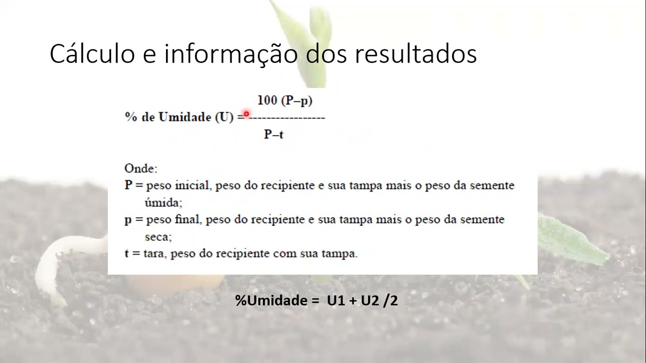 VIDEO AULA PRATICA 03 DETERMINAÇÃO DA UMIDADE