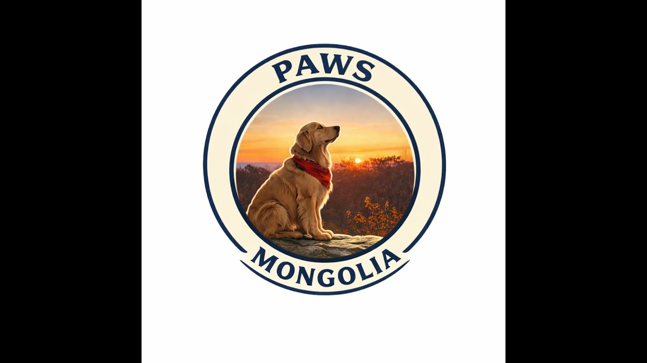 Бид хараад л өнгөрдөг амьдрал — Animal Suffering and Our Ethical Responsibility for Stray Animals