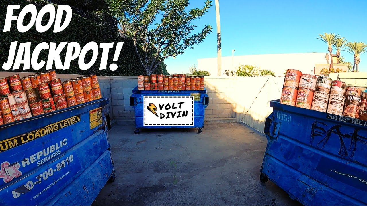 Поиск еды в мусорных баках