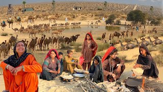 Desert Village Life of Camel People | Camel People Family Morning Routine In Hot Summer