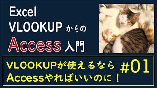 【Access #01】 VLOOKUPよりAccess使おうよ