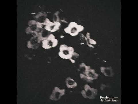 Perdenin Ardındakiler - Gönlüme Hükmedemem
