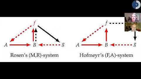 Mapping Theories of Life into Cell Biochemistry, Part II: The Self-Manufacturing Cell
