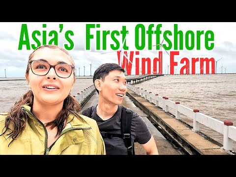 🇻🇳 Asia's First Offshore Wind Farm in Bac Lieu of the Mekong Delta | Vietnam Travel Ep: 20