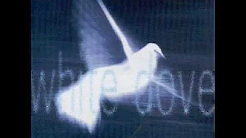 Scorpions - White Dove